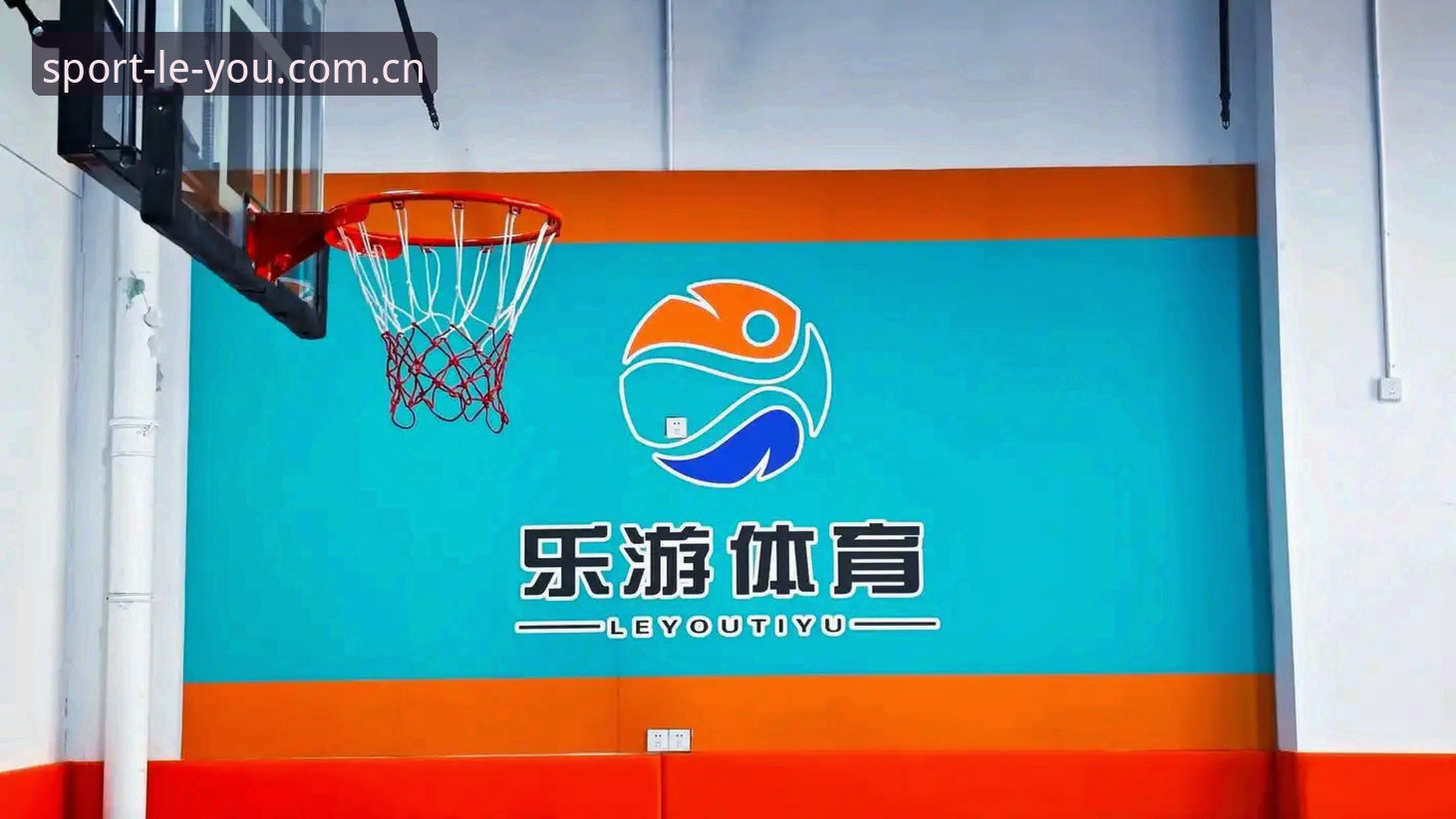 乐游体育平台专业资讯深度解析：一个老用户的全方位体验分享